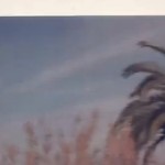 Quantic & Alice Russell with the Combo Barbara-Magdalena