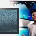 Janelle Monae-Dance Apocalyptic (Video)