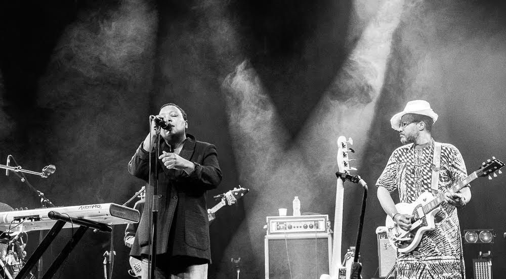 Meshell Ndegeocello by Debbie Tucker Brown