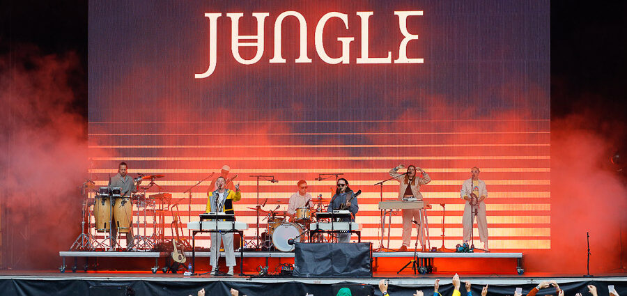 Jungle banc 2022