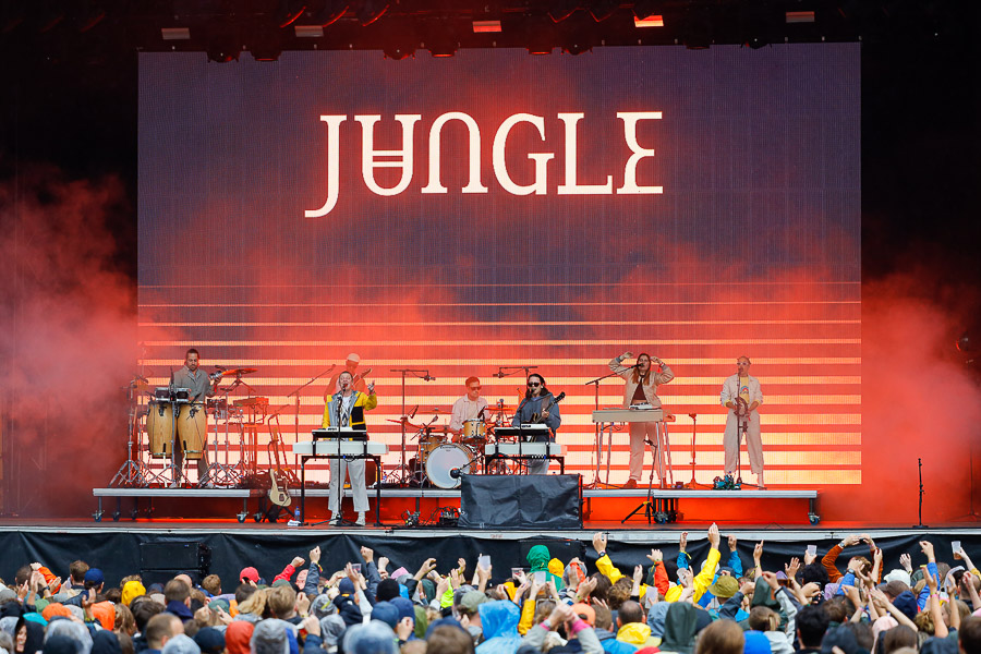 Jungle banc 2022