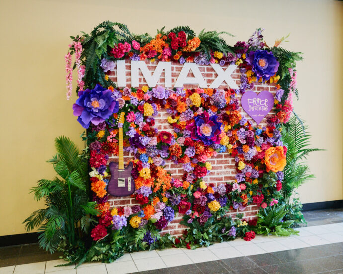Prince IMAX Display